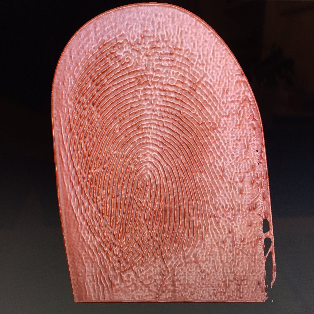 davefarnhamuk's tweet photo. 2D scan of fingerprint  = 3D object. #Zbrush #2Dscanning #davefarnham #art #artist #flatbedscanner #fingerprint #dna https://t.co/1dtgFVytF5