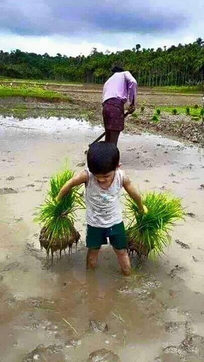 Veera Chozhan (VChozhan) Twitter