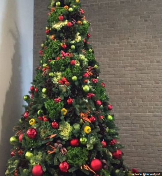 BBC_HaveYourSay's tweet photo. Carrots and rubber gloves! Thanks for sharing your quirkier #Christmas tree decorations: https://t.co/zGVv139rfp https://t.co/Ehjq2nBzlB