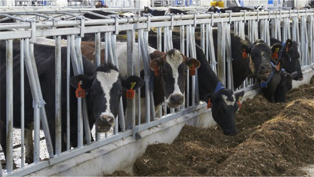 Automation, self-service, analytics works for cows, why not HR? bit.ly/1O86fY7