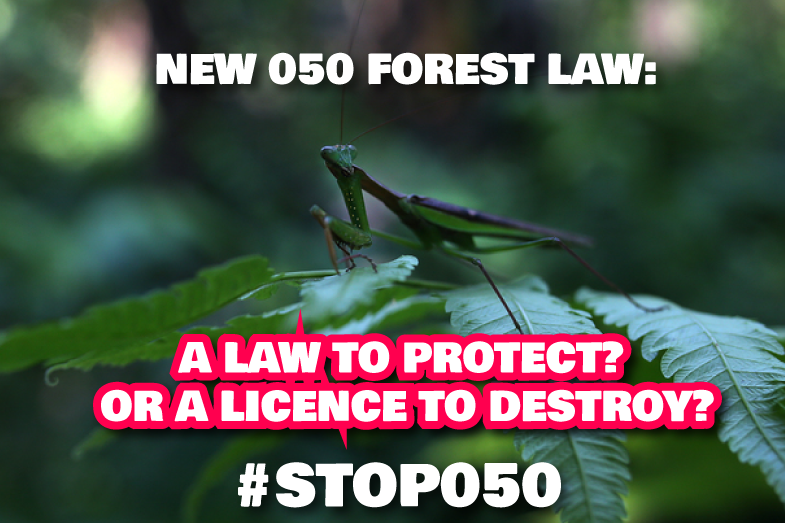 Greenpeaceafric's tweet photo. Forest laws should protect the #CongoBasin, not licence its destruction
https://t.co/W8RWV43pPT #Stop050 @FSC_IC https://t.co/Gni7jDFfs9