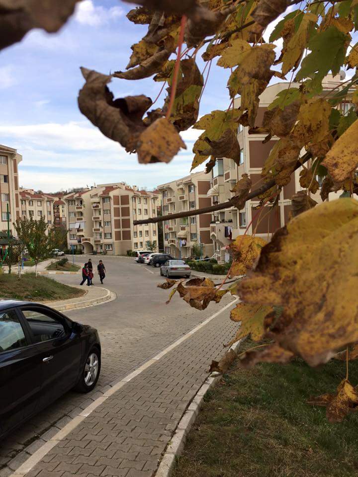 #OneLetterOffMovies 
تابعو هذا الحساب الجديد على تويتر ,, نشر أبرز وأجمل المعالم في تركيا ونعرض لكم أرقى المشاريع.