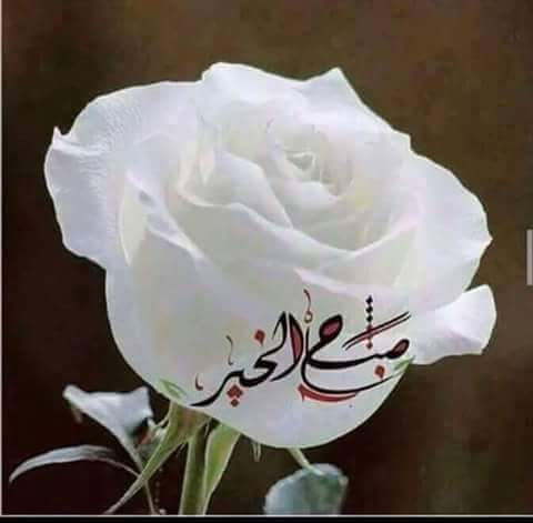 Kade19Www's tweet photo. اللحظات الجميلة كأوراق الخريف ..
تسقط من أعمارنا دون أن تعود !!! https://t.co/ZdejWJ3m0g