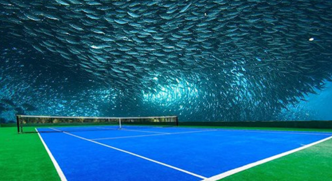 Julie_Anderson4's tweet photo. WOW 😍 An underwater tennis court to be built in Dubai 😍 https://t.co/K7zV3BQy07  
@Forbes @DXBMediaOffice https://t.co/9kiHjvmQsi