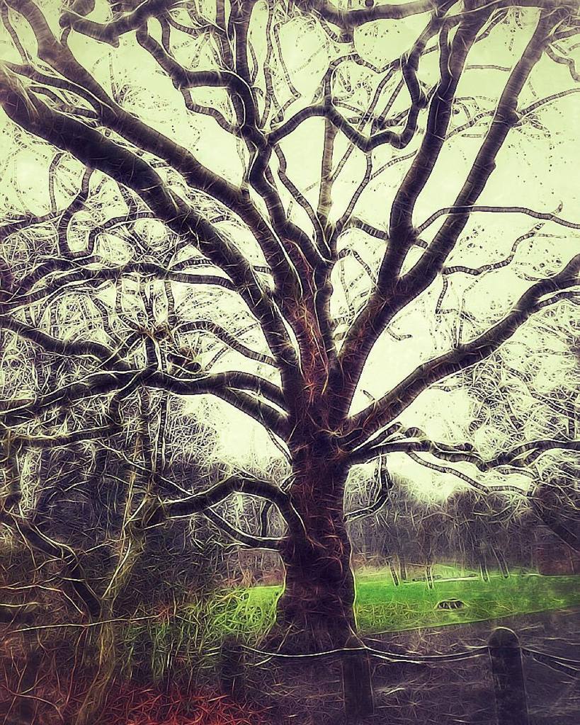 gamezweplay's tweet image. Stop looking for happiness in the same place you lost it.

#gallery_of_all #hdr_europe #hdr_for_all #hdrcreators #p…