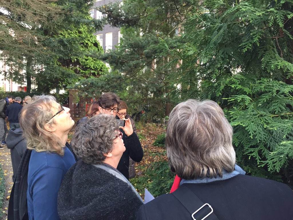 App #botanischetuinen uitproberen in de hortus Amsterdam