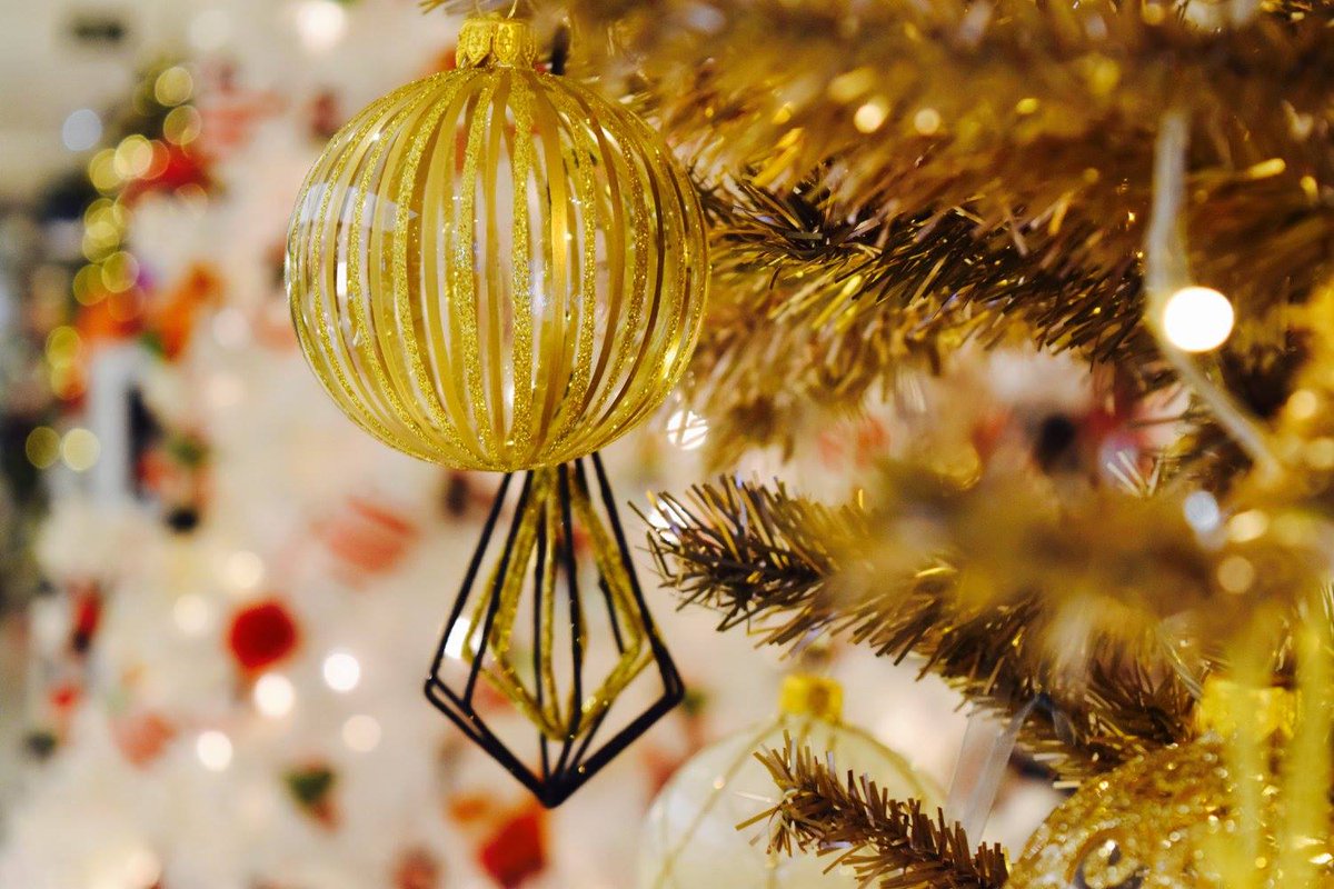 FilmRoomUK's tweet photo. #Christmas is nearly here. Looking over standard 8mm Christmas footage is a great way to spend the day. #festive #8mm #festivefilm #scanningandrestoration https://t.co/f8SHHVEgIs