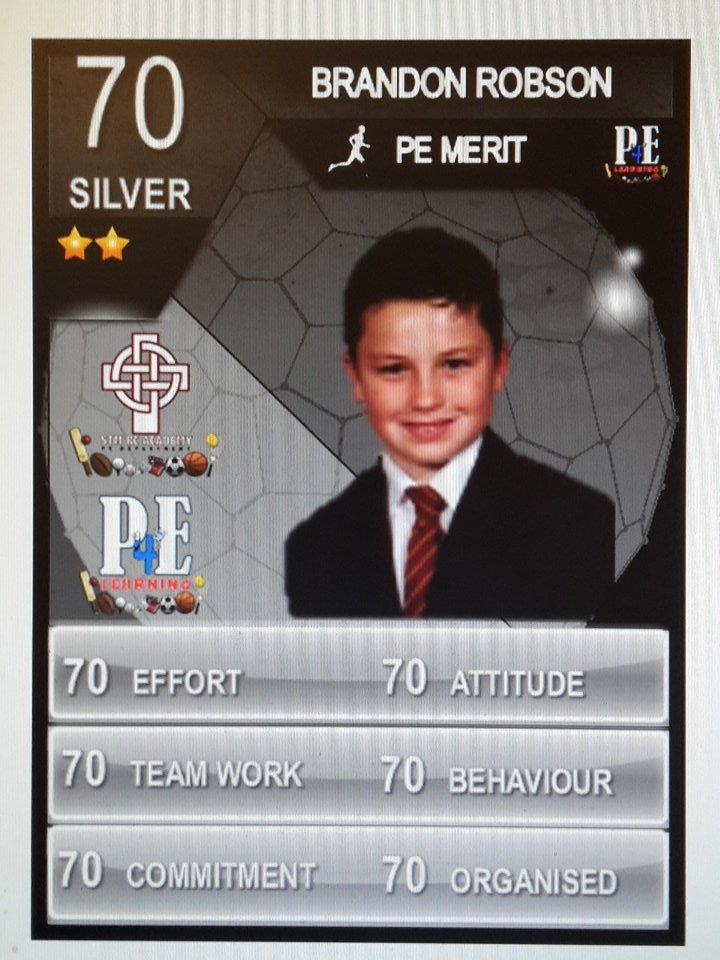STM_PE's tweet photo. Well done to our @STM_PE SILVER Stars in PE #PELads #rolemodels #Legends https://t.co/lARjAxGIHZ