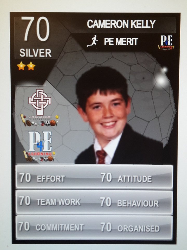 STM_PE's tweet photo. Well done to our @STM_PE SILVER Stars in PE #PELads #rolemodels #Legends https://t.co/lARjAxGIHZ
