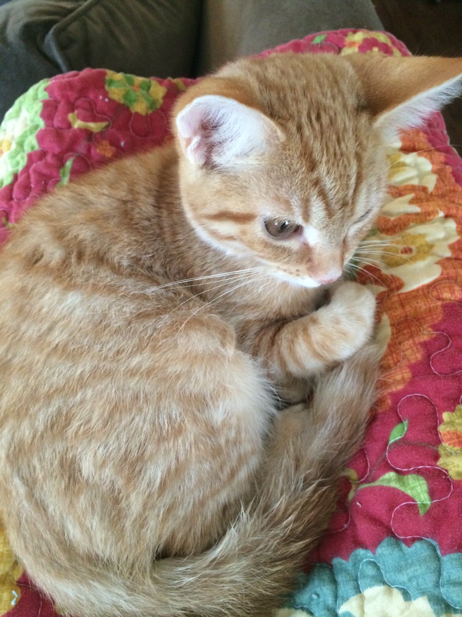 BroadwayVet tweet media