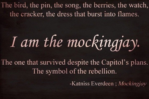 katniss20002's tweet photo. #IAmTheMockingjay https://t.co/WI65vLyxAD