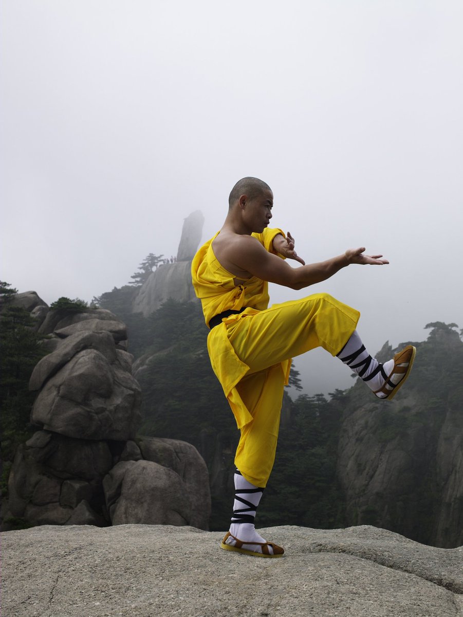 Adonyson tweet picture