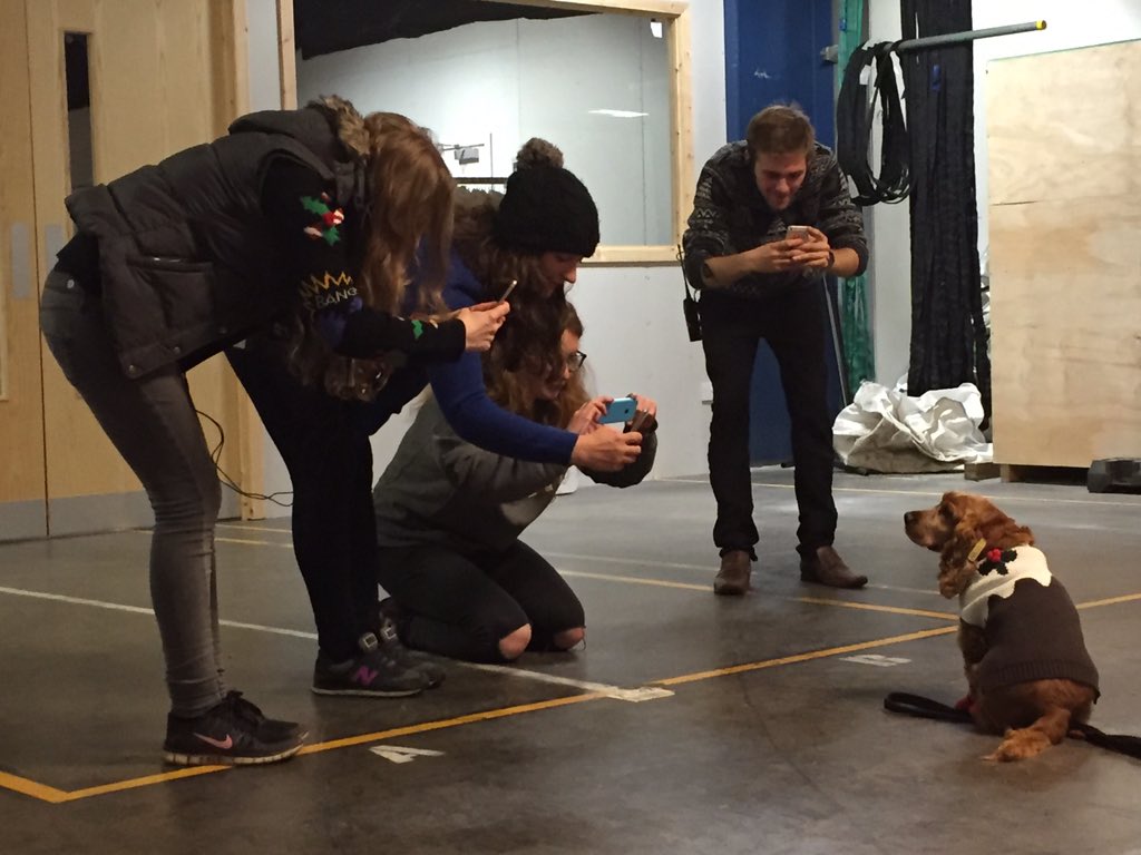 ankenneyy's tweet image. @ginger_jasper poses for the "pup"arazzi on Outlander Christmas jumper day. #lookatthoseboots @Outlander_Starz