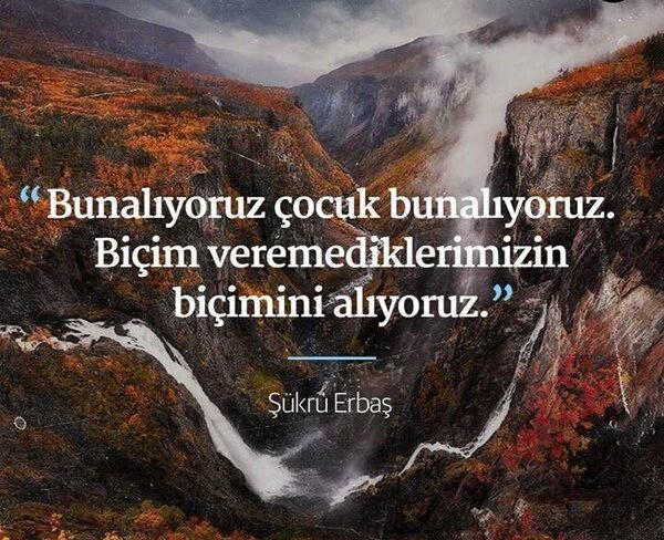 GüLçin DeRaN (@gulcin6555) on Twitter photo 