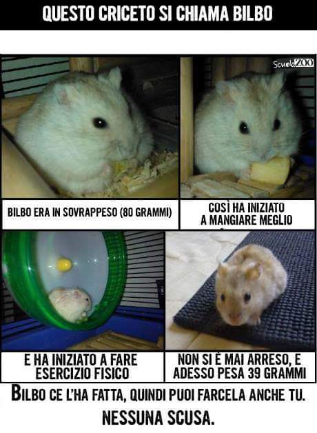 Perla Miseria tweet media