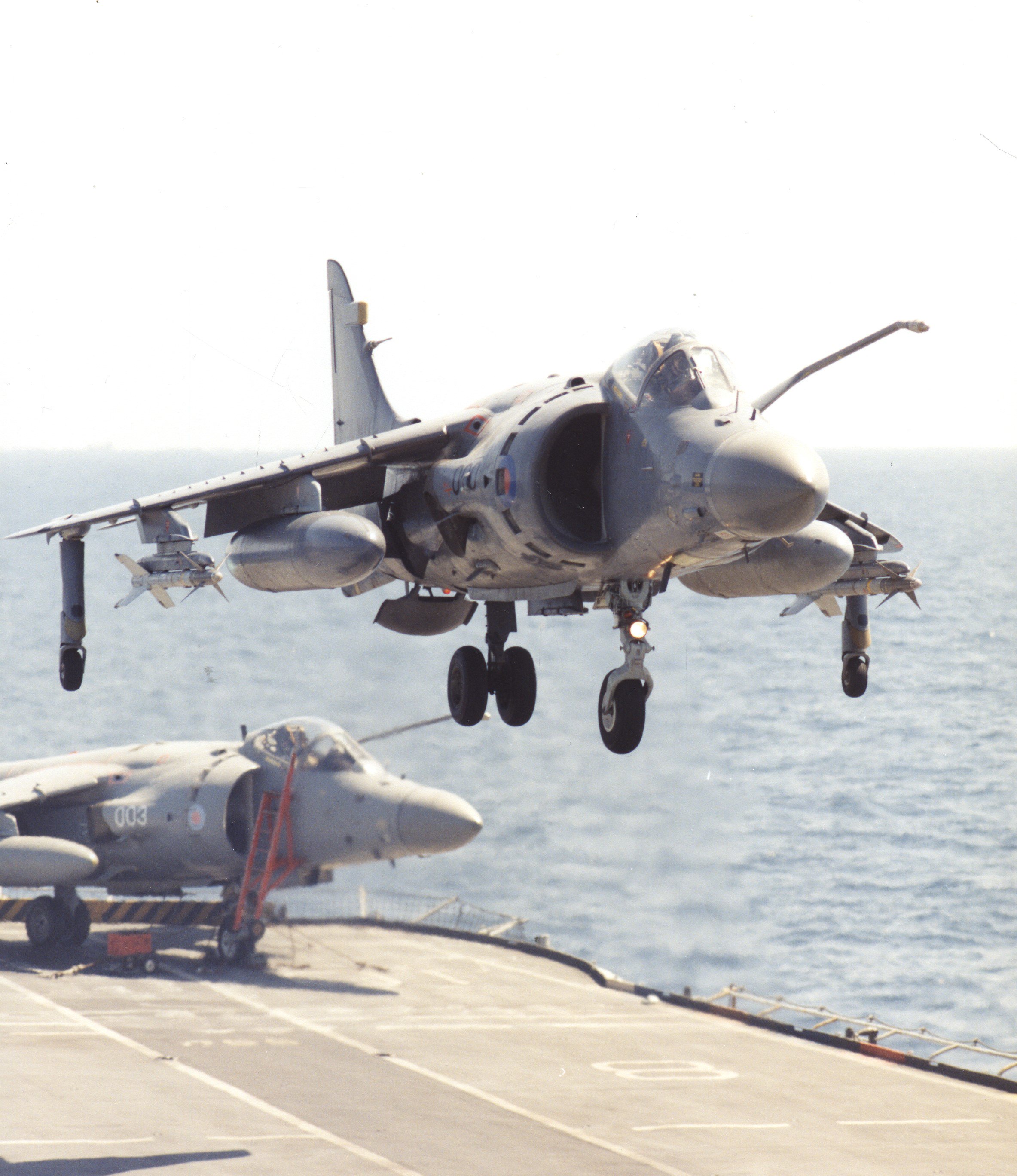 Harrier