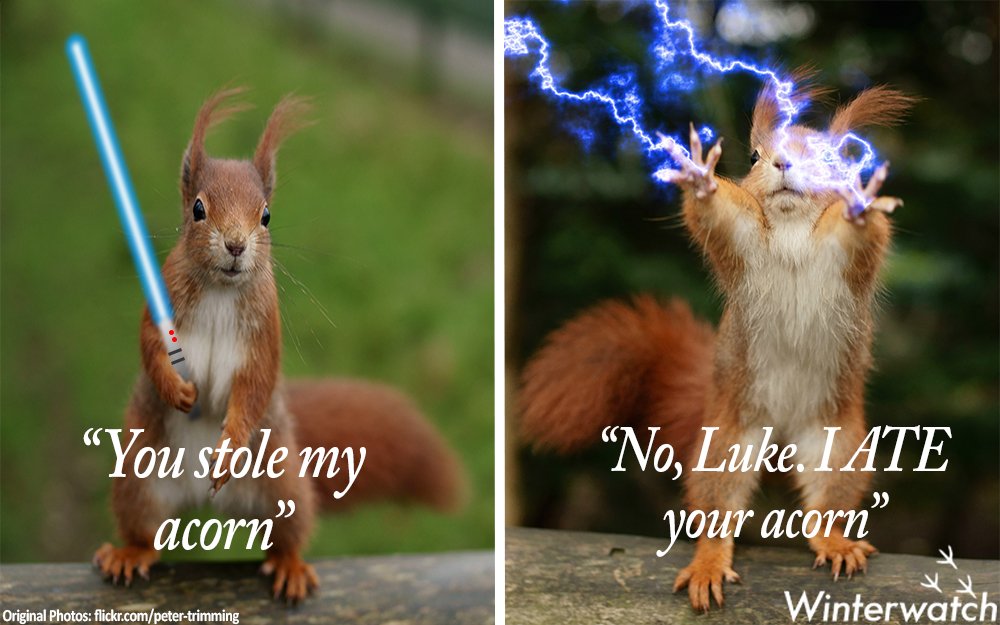 May the force be with you... #StarWarsTheForceAwakens #Winterwatch