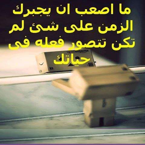 aa529653's tweet image. 