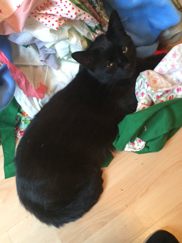 He's a rubbish assistant #lazy