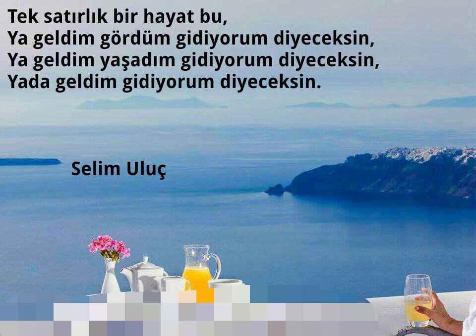selimeank's tweet photo. https://t.co/Ux6lDpJvK1
