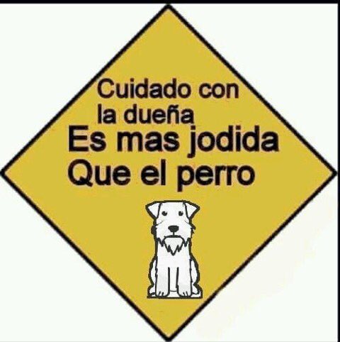 Celeste21 tweet media