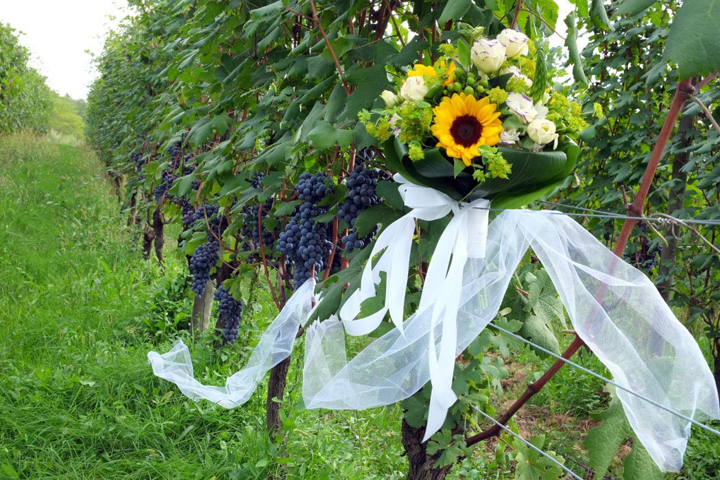 SilviaCartotto's tweet photo. Se il 2016 è l'anno del vostro matrimonio, oggi sul blog vi regalo una chicca!
https://t.co/DVlHVvTfwm #YesinItaly https://t.co/odSCBsbBmy