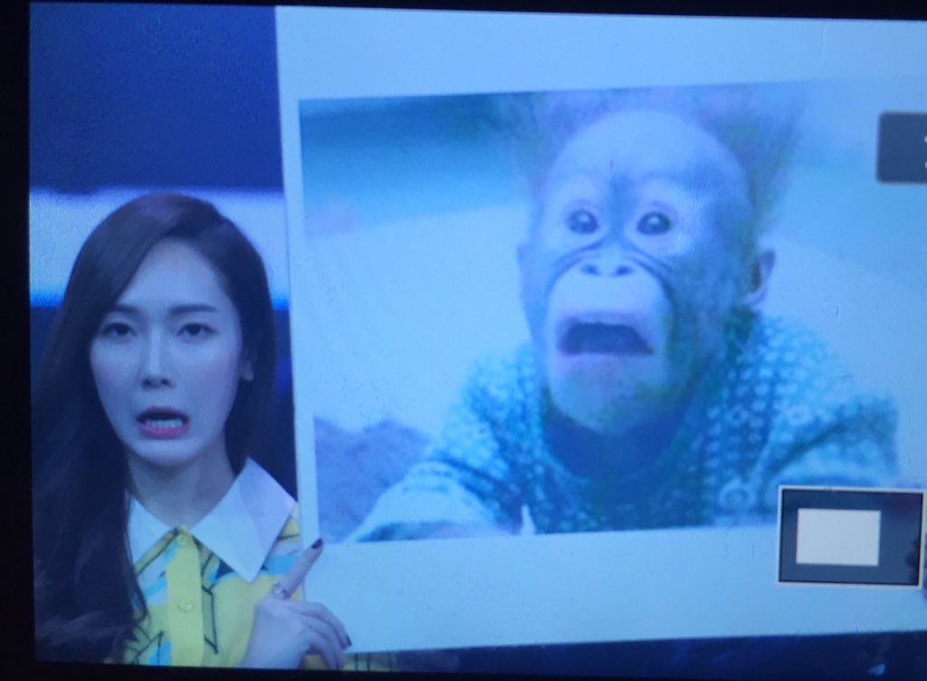 [PIC][16-12-2015]Jessica khởi hành đi Trường Sa - Trung Quốc để ghi hình cho chương trình "Ngày ngày tiến lên" vào tối nay CWbhdXiUwAA95o6