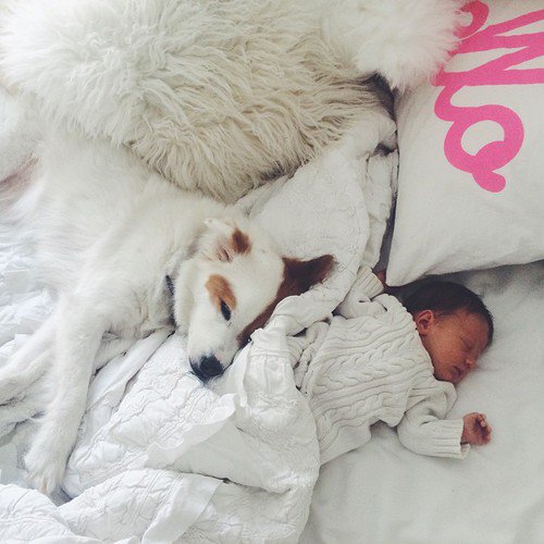 Jensen (@tinycasbaby) on Twitter photo 