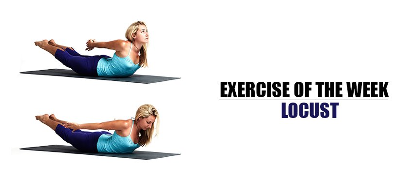 No1SportsBraUK's tweet image. #ExerciseOfTheWeek Locust, also known as the &apos;Grasshopper&apos; #YogaFact RT and let us know how you get on!