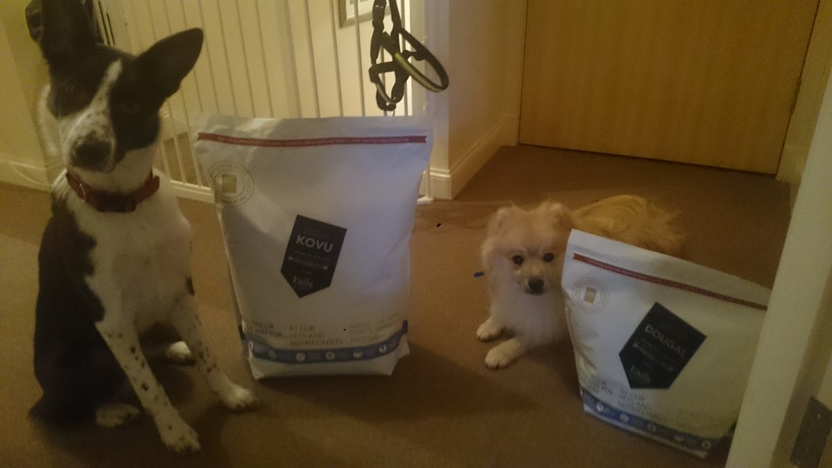Amanda199413's tweet photo. K + D are fed tailor-made food blended just for them. Try 2 weeks free with just £1 delivery https://t.co/fCfhkAkfVL https://t.co/ivvvWq8HcQ