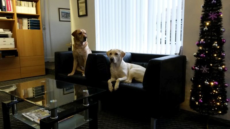Couple of clients in the office today to talk through new Kennel plans ! :)
Happy Christmas from <a href="/SK_Design/">SK Design</a>