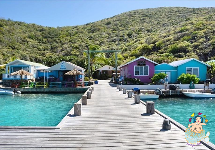 FatVirginCafe's tweet photo. That sweet moment when you know your arriving to #FatVirginCafe! #BVI #caribbean #paradise #sweet #moment #beauty https://t.co/Ulv3DVQVzQ
