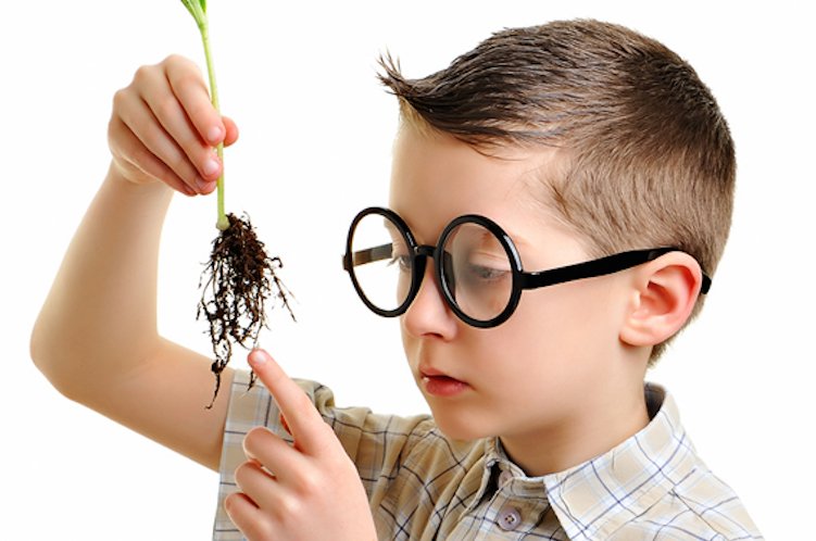 Sometimes, kids are just way smarter than adults  bit.ly/1O9kWk4 https://t.co/baLwCaNSYW