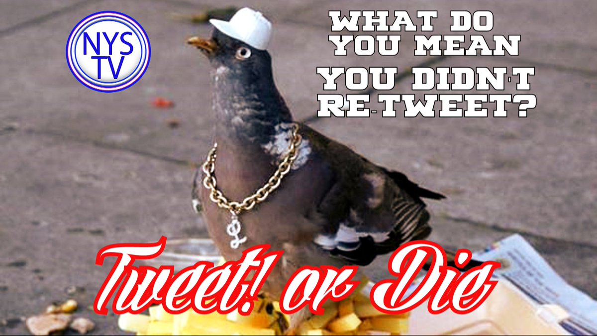 nowyouseetv's tweet photo. haha! this is comedy. #RT let people know that twitter is for tweeting #GetYourWeightUp #TweetMe #TweetsForSale https://t.co/1X3elgteFH