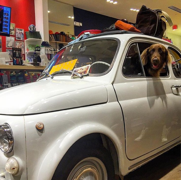 Legacy Place tweet media