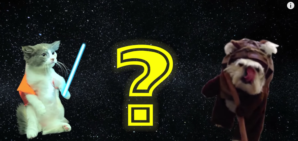 Dmizejewski's tweet photo. This video has 2 of my fav things: #StarWars &amp; cute animals. @AnimalPlanet @NWF https://t.co/EG9fJhYTzC https://t.co/iujwZIMLTr