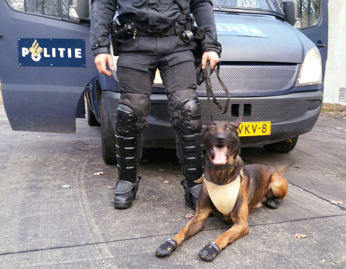 Vandaag aandacht voor ons team op #Facebook bij politie #Eindhoven en @politieOss. Fijne samenwerking! #Volgtip