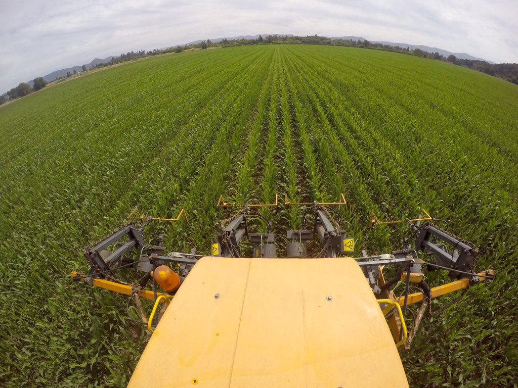 Servimaksa's tweet photo. #DespanojeMecanizado #Monsanto @luistoroc #SantaCruz @TroncosoAlan @JLGuardaW @jcfuentesb https://t.co/9ZeQSYZ3U0