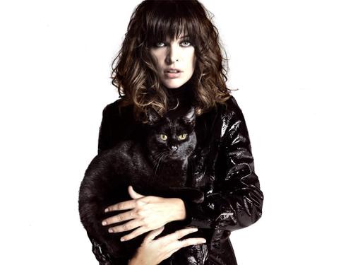 Milla Jovovich loves cats! >^..^<

Happy 40th Birthday, Milla!     