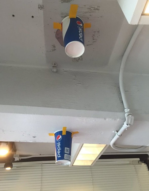Allstar_Plumber's tweet photo. #OaklandColiseum Uses Cups Taped to Ceiling to #FixLeaks https://t.co/3ntdUIyg7U #OcoColiseum #leaks via @LBSports https://t.co/53KGmtjPyS