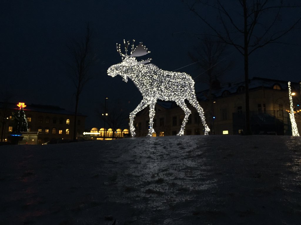 heidenstrom's tweet photo. Met the coolest moose ever #lightmoose #discomoose @visitnorway https://t.co/m4lje1KFMb