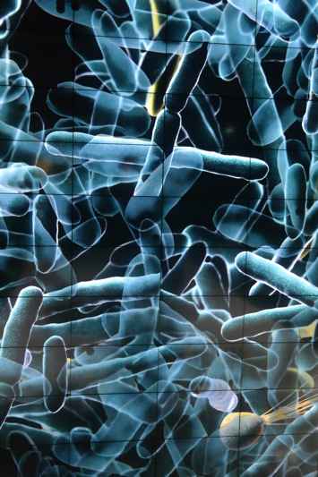 Flush The Fashion tweet media