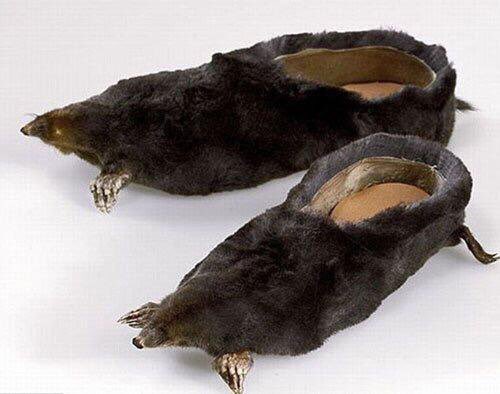 CrapTaxidermy's tweet photo. What are thooooose!!! https://t.co/2KANLYColr