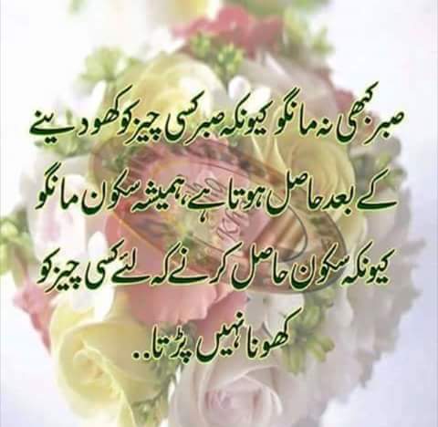 Muhamma40872798's tweet photo. @sharrai_ https://t.co/l2ElP8yHlt