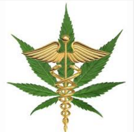 MedAlternitives tweet picture