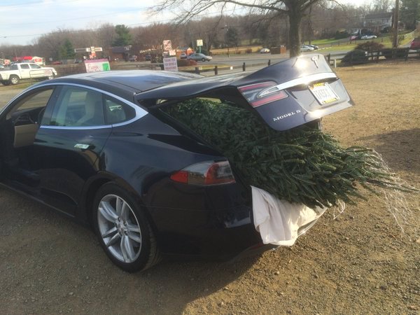 Tesla tweet media