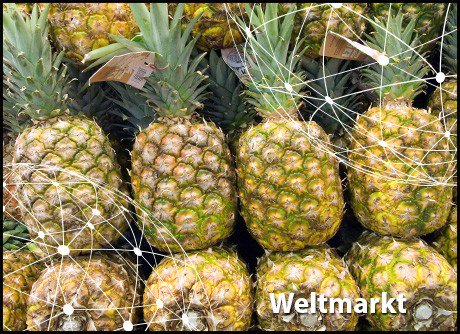 Größerer Zustrom nach Engpass im Herbst
freshplaza.de/artikel/3000/G…