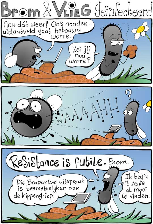 BromEnVlieg (@bromenvlieg) on Twitter photo 