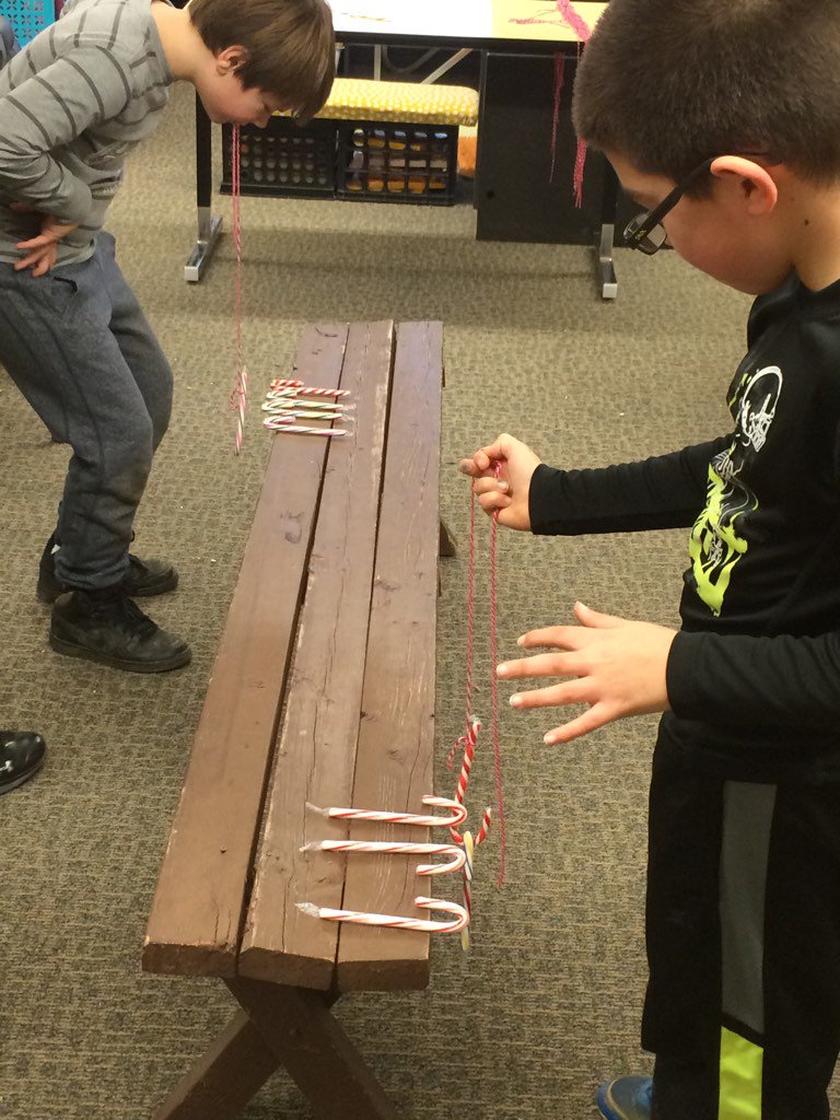 Mrs. Lucas' Owls tweet media