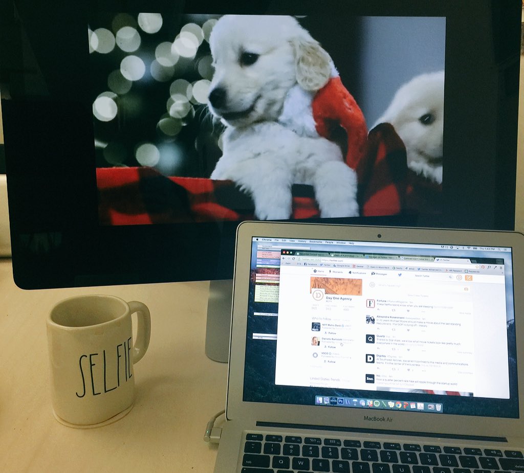 AlexIsrael's tweet image. Getting some v important work done before the holidays thanks to @comcast&apos;s Yule Dogs. 🎄🐶 #clientperks